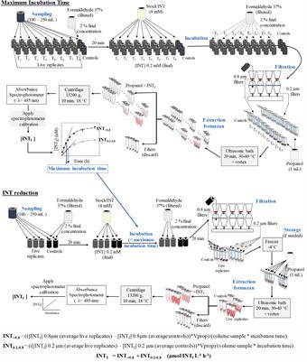 Validation of the in vivo Iodo-Nitro-Tetrazolium (INT) Salt Reduction Method as a Proxy for Plankton Respiration